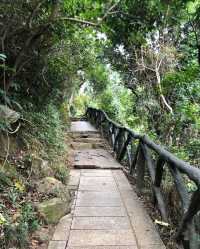 深圳登山——梧桐山（十八）