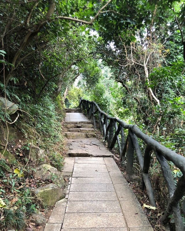 深圳登山——梧桐山（十八）