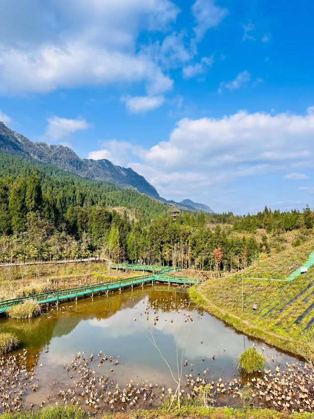 南寶山旅遊度假區｜探索自然秘境，享受寧靜時光