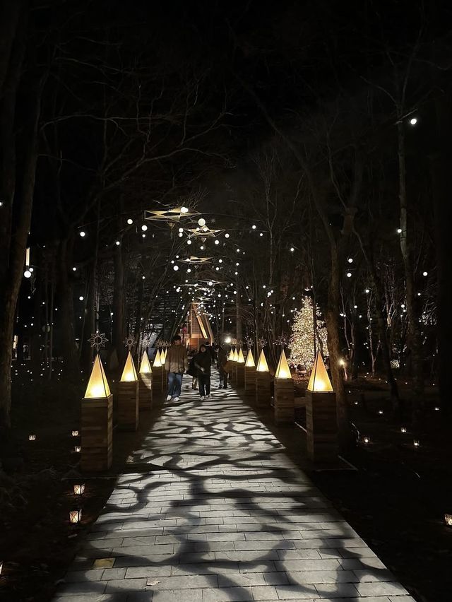 Celebrate Christmas in a Forest of Lights at Karuizawa Kogen Church