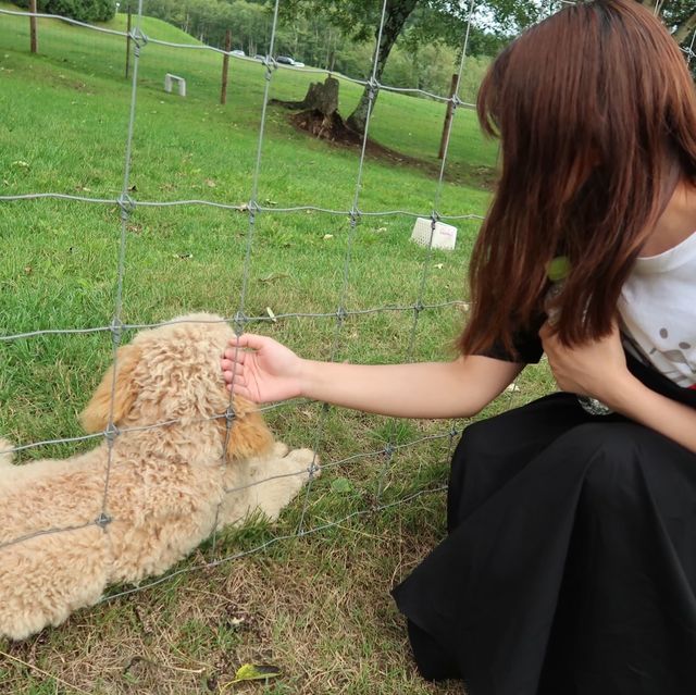 星野リゾート　リゾナーレトマム　宿泊記🌲