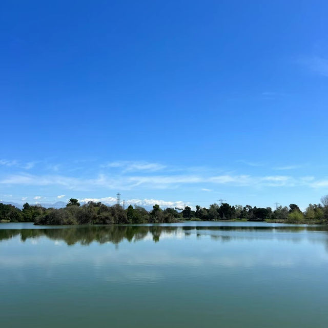 賽城湖濱公園：湖光山色