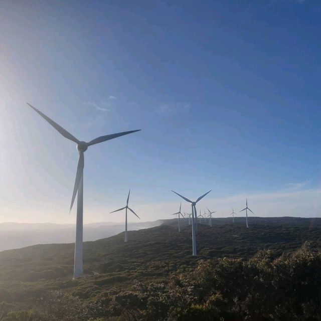 Perfect timing for visiting the Albany Wind Farm 