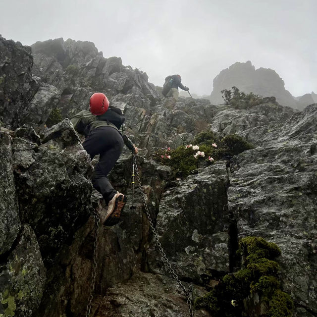 🏔️漫步在雲端｜台灣百岳之首「玉山 」