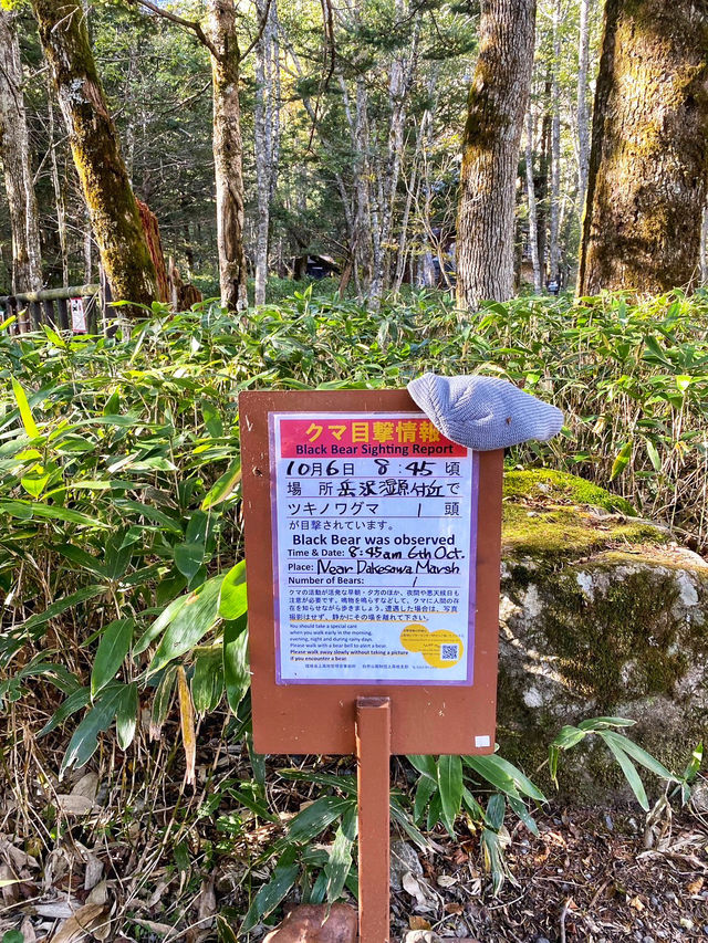 Kamikochi ต้องไปสักครั้งในชีวิต