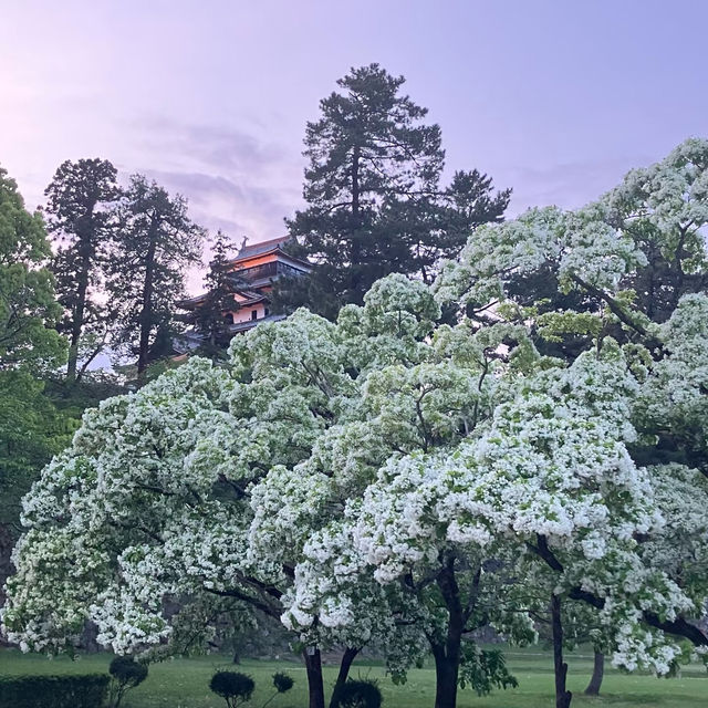 盛岡城：穿越時光日本城堡🌸🏯