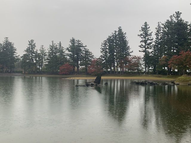 世界遺産巡り　毛越寺