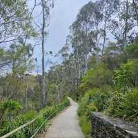 Stunning Views at Echo Point Lookout