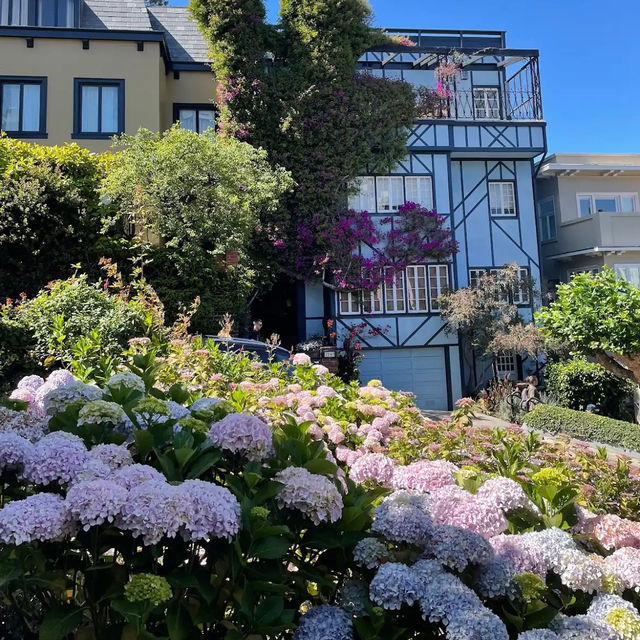 九曲花街Lombard St 舊金山旅遊景點