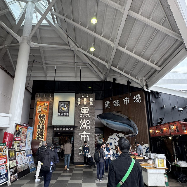 Witness Blue Fin Tuna Cutting at Wakayama’s Kuroshio Market