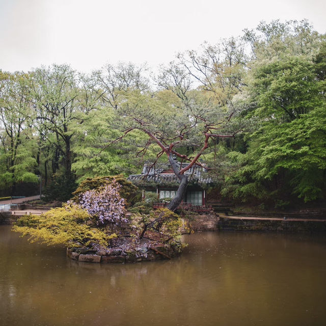  韓國昌德宮：傳統與自然完美結合的世界文化遺產