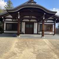 奈良の寺(唐招提寺と薬師寺)