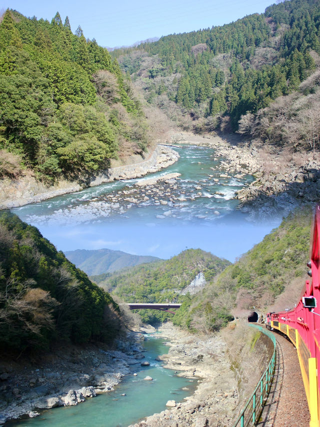 Spring Awakens: A Scenic Journey on the Sagano Arashiyama Train