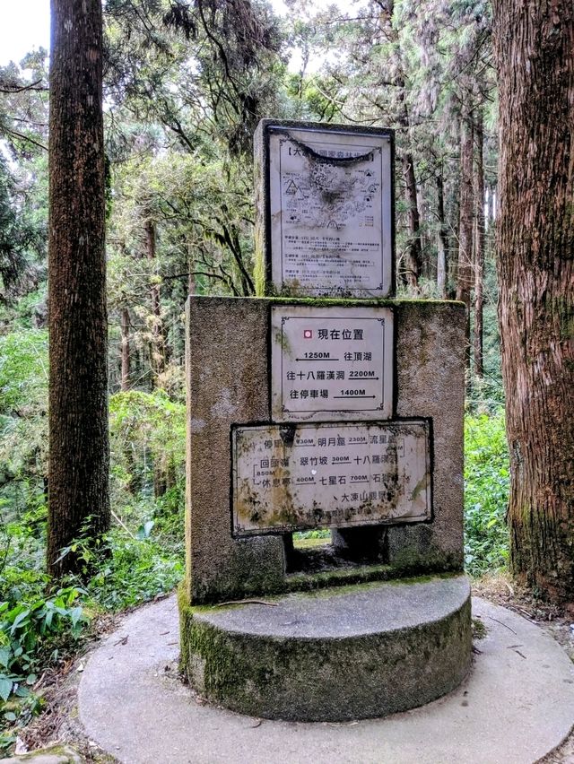 漫步奮起湖森林步道：小百岳大凍山