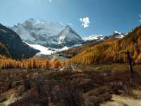 Best Autumn Viewing Experience 2/3 [Xiannairi Snow Mountain, Yading Nature Reserve]