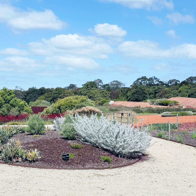 Nature's Masterpiece: Unwinding at Melbourne's Royal Botanic Gardens 🇦🇺