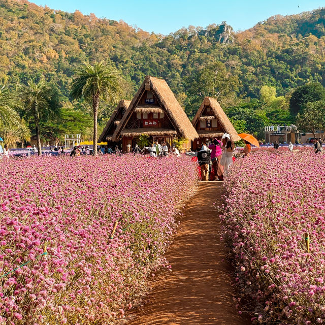 Hokkaido Flower Park Khao Yai 