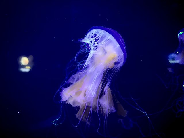 青島親子遊好去處——青島海底世界