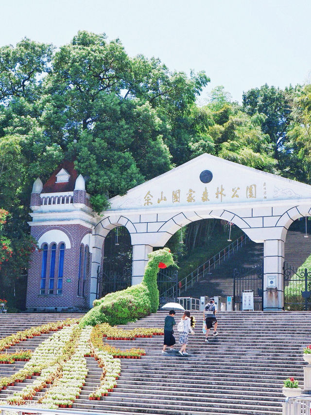 上海後花園，夏日避暑森林氧吧