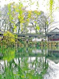 🌸 Enchanting Suzhou: A Journey Through Classical Gardens 🏯