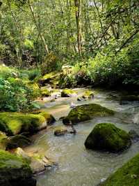 行山綠野仙蹤——禄劝桂花渡水庫。