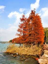 冬日下的蘇州獨墅湖公園