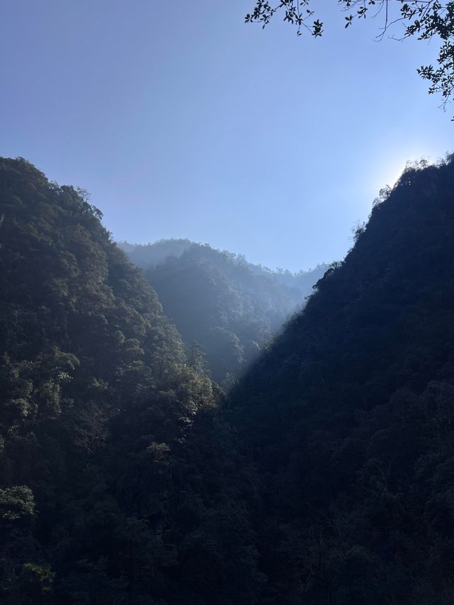 金華牛頭山國家森林公園｜金華八婺第一峰"