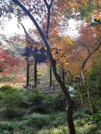 【城市漫遊】探索天山公園的無盡魅力