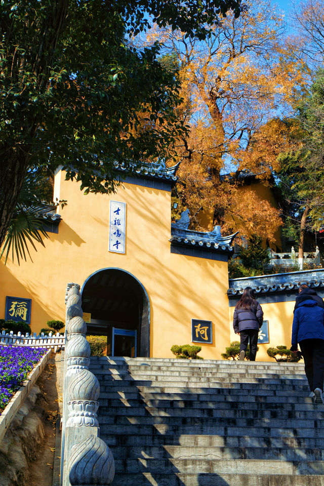 來雞鳴寺只為這一件事附雞鳴寺打卡攻略