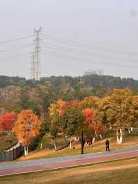 重慶金州公園