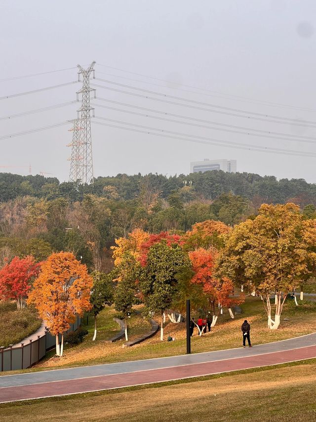 重慶金州公園