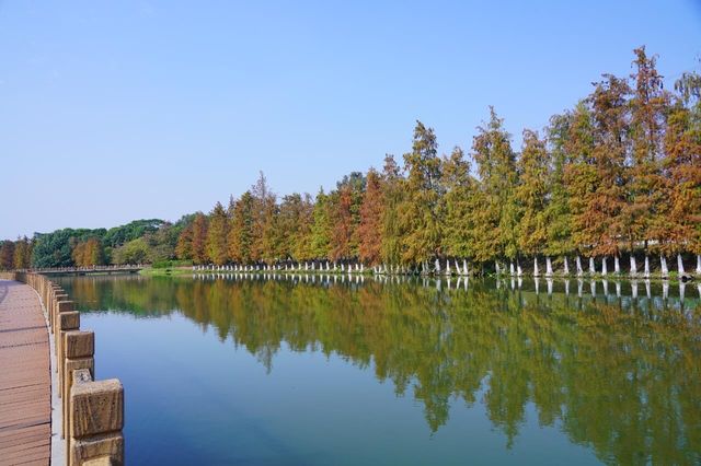 東莞中央群島公園