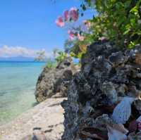 Paradise: Sea Turtle Hotel Moalboal