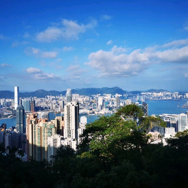 香港大學•龍虎山•太平山頂