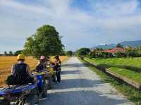 An ATV adventure at the fields of Balik Pulau