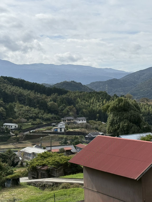 【伊東】ドライブしてみよう！The 田舎の風景の中で森林浴