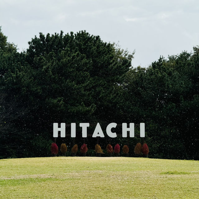 Let Nature’s Colour Paint Your Soul! -Hitachi Seaside Park