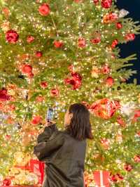 【神奈川県/横浜】リンツテディと煌めくクリスマスツリー🎄