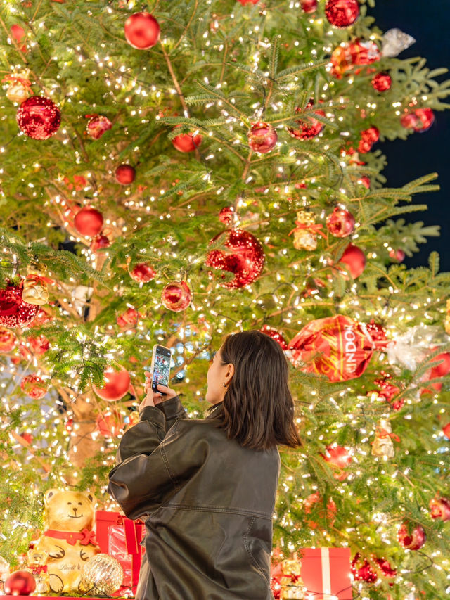 【神奈川県/横浜】リンツテディと煌めくクリスマスツリー🎄