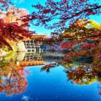 wakayama castle