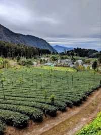 漫步奮起湖森林步道：小百岳大凍山