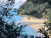 A Tranquil Adventure in Abel Tasman National Park