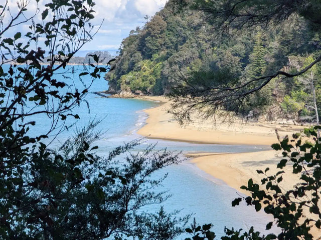 A Tranquil Adventure in Abel Tasman National Park