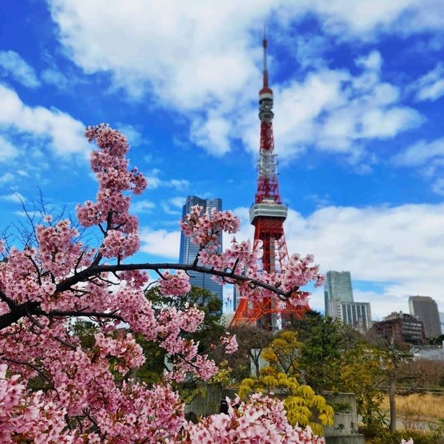 🌸芝公園酒店🌸推薦這間「圖書館」酒店