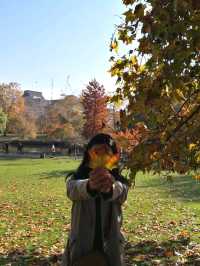 Autumn walk in St James Park 🍁🍂🍁🍂