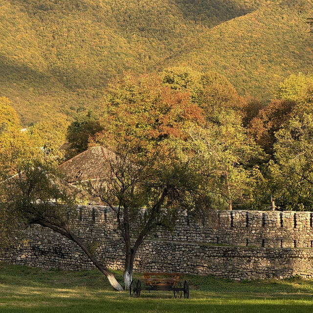 City of History & culture Sheki 