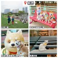 全港寵物公園推薦🐶寵物友善👍