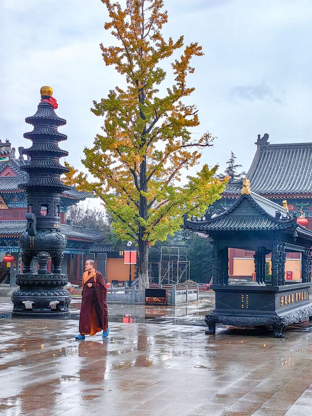 太哇塞了吧青島這個濕地公園藏著一家寺廟