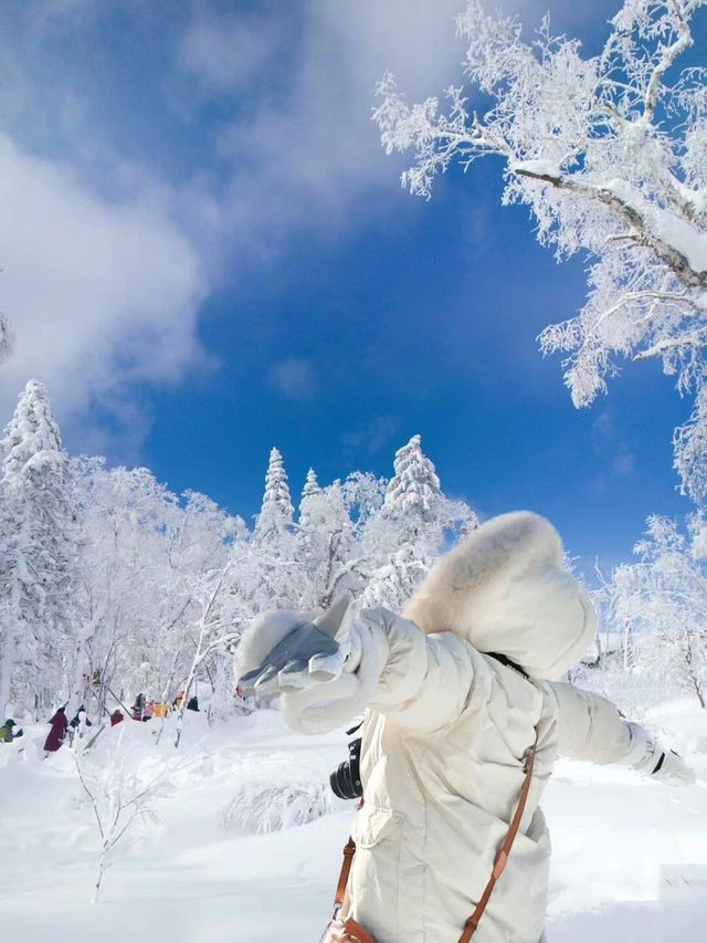 主打聽勸沒去雪鄉改去了雪谷和霧凇嶺雪山