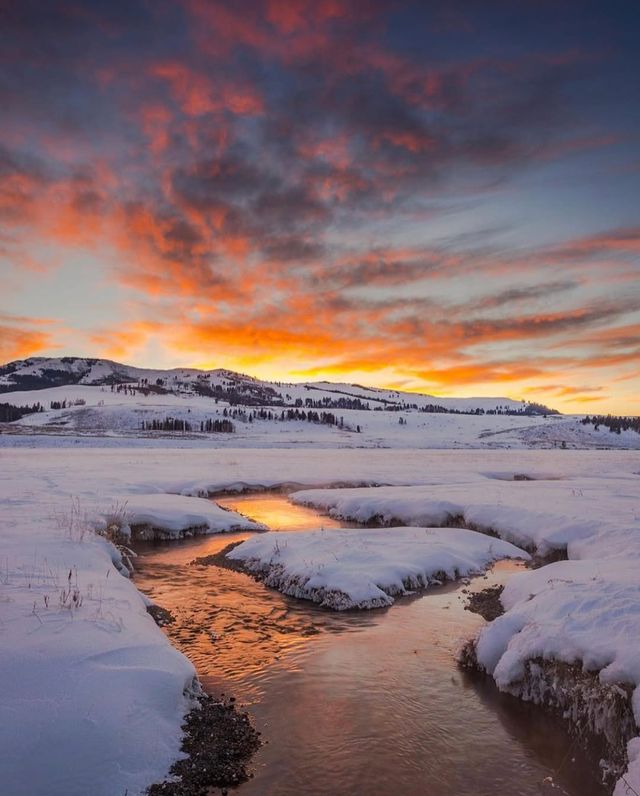 Winter Wonderland: 5-Day Yellowstone National Park Tour